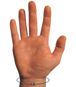 size guide for D-ring, looped and hook aids. image showing "A" measurement is around wrist