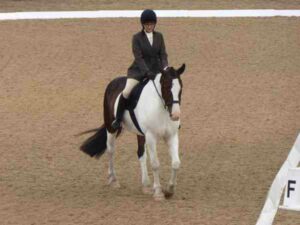 lady on horse