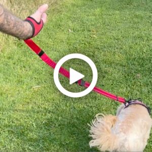 video showing the handy leash dog lead and how it sits over your hand