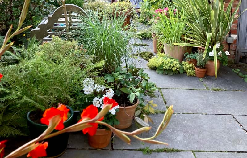 Photograph shows a low angle of a garden with a paved path weaving through flowers and shrubs.